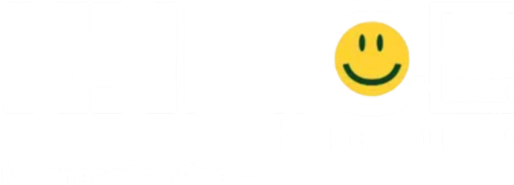 MN Nice Home Buyers secondary white logo